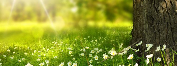 La Naturopathie pour moi La Naturopathie pour moi