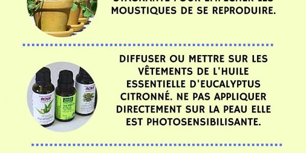 3 conseils pour éviter les piqûres de moustiques cet été. 3 conseils pour éviter les piqûres de moustiques cet été.