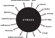 Le stress Le stress