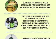 3 conseils pour éviter les piqûres de moustiques cet été.